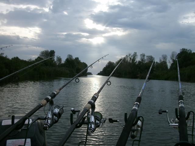 Prin Delta Dunarii - GEDC0103.JPG